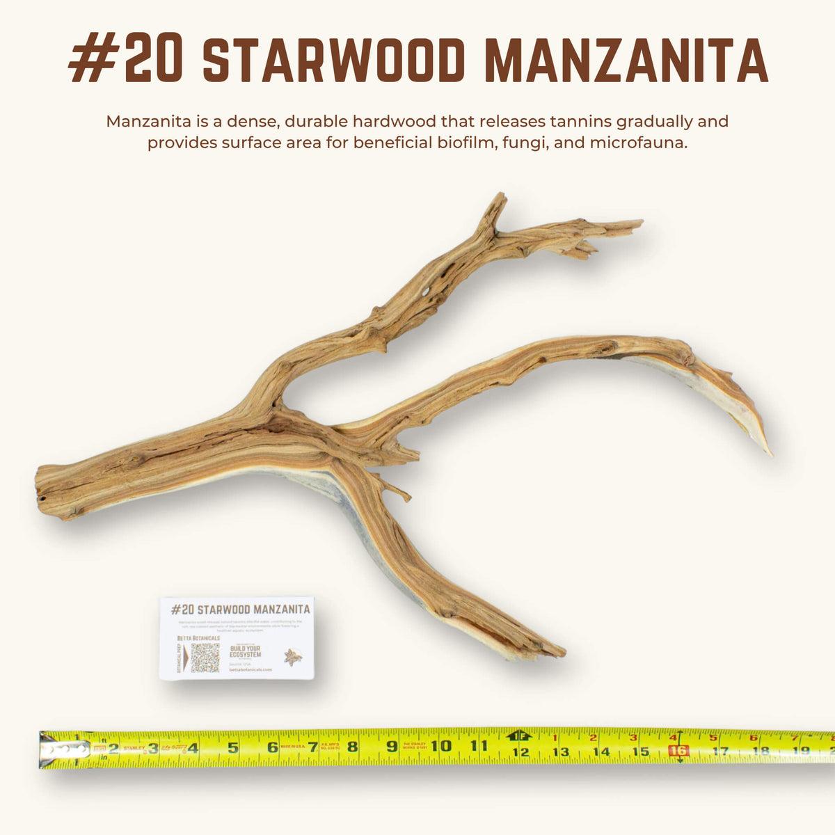 Starwood Manzanita | WYSIWYG Pieces