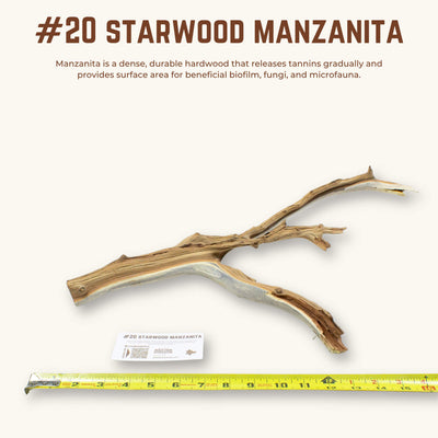 Starwood Manzanita | WYSIWYG Pieces