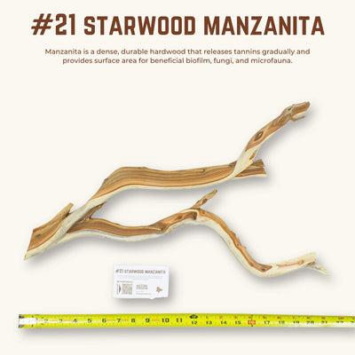 Starwood Manzanita | WYSIWYG Pieces
