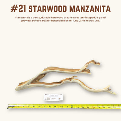Starwood Manzanita | WYSIWYG Pieces