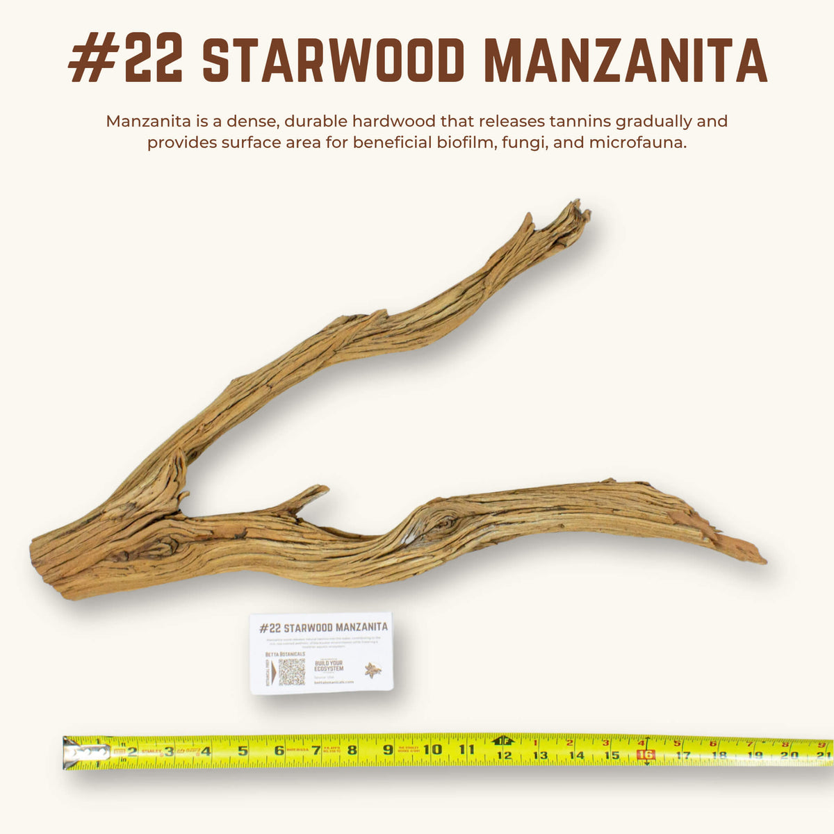 Starwood Manzanita | WYSIWYG Pieces