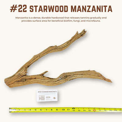 Starwood Manzanita | WYSIWYG Pieces