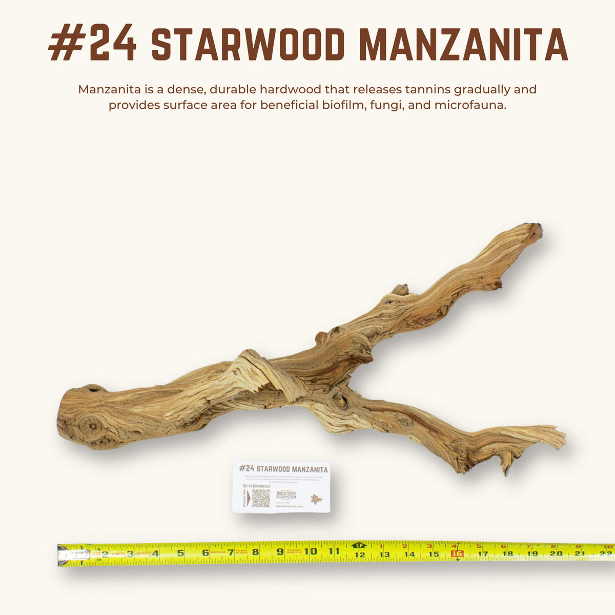 Starwood Manzanita | WYSIWYG Pieces