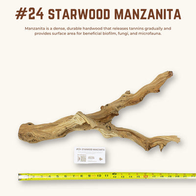 Starwood Manzanita | WYSIWYG Pieces