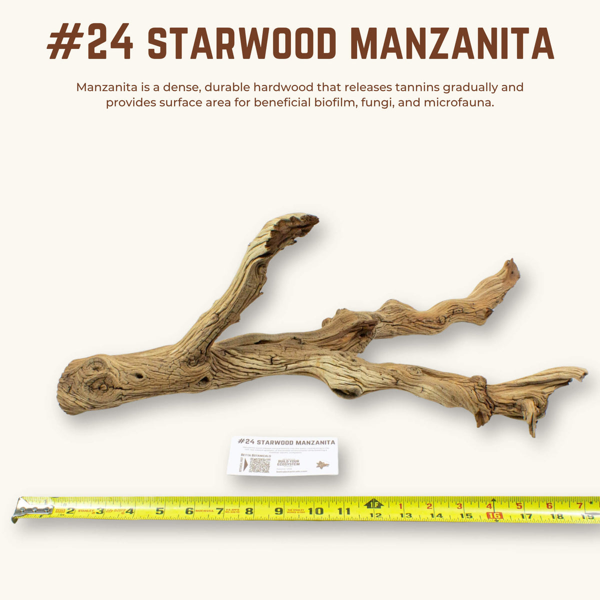 Starwood Manzanita | WYSIWYG Pieces
