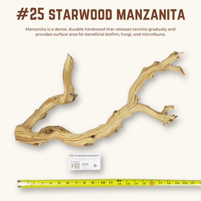 Starwood Manzanita | WYSIWYG Pieces