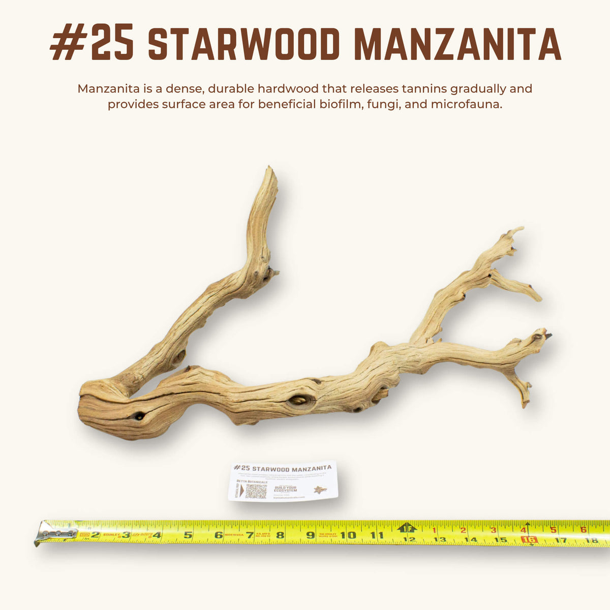 Starwood Manzanita | WYSIWYG Pieces