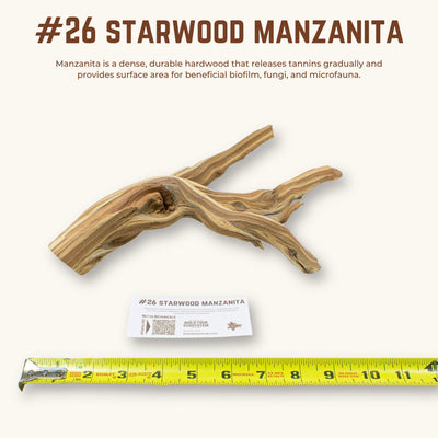 Starwood Manzanita | WYSIWYG Pieces