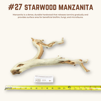 Starwood Manzanita | WYSIWYG Pieces