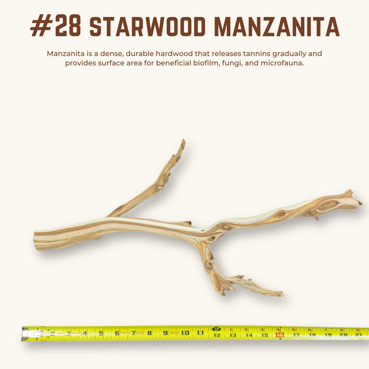Starwood Manzanita | WYSIWYG Pieces