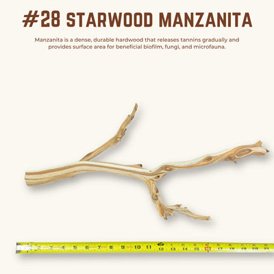Starwood Manzanita | WYSIWYG Pieces