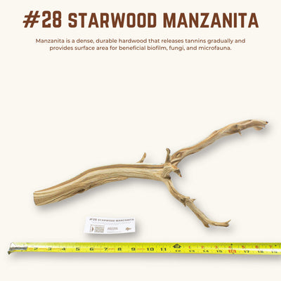 Starwood Manzanita | WYSIWYG Pieces