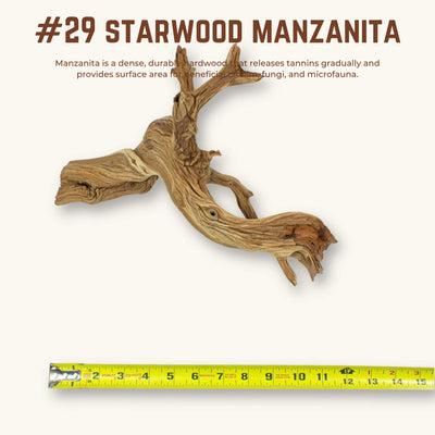 Starwood Manzanita | WYSIWYG Pieces