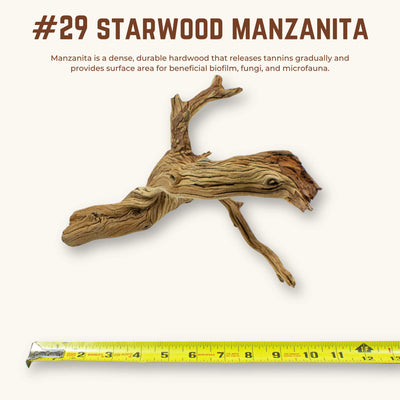 Starwood Manzanita | WYSIWYG Pieces
