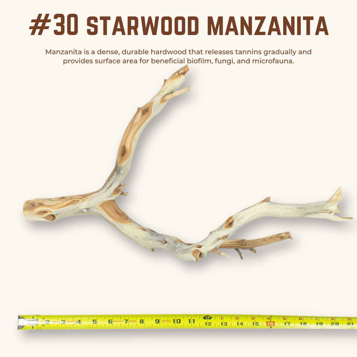 Starwood Manzanita | WYSIWYG Pieces