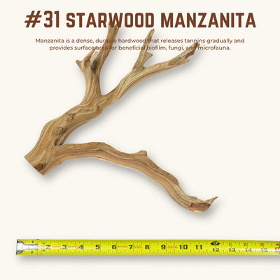 Starwood Manzanita | WYSIWYG Pieces