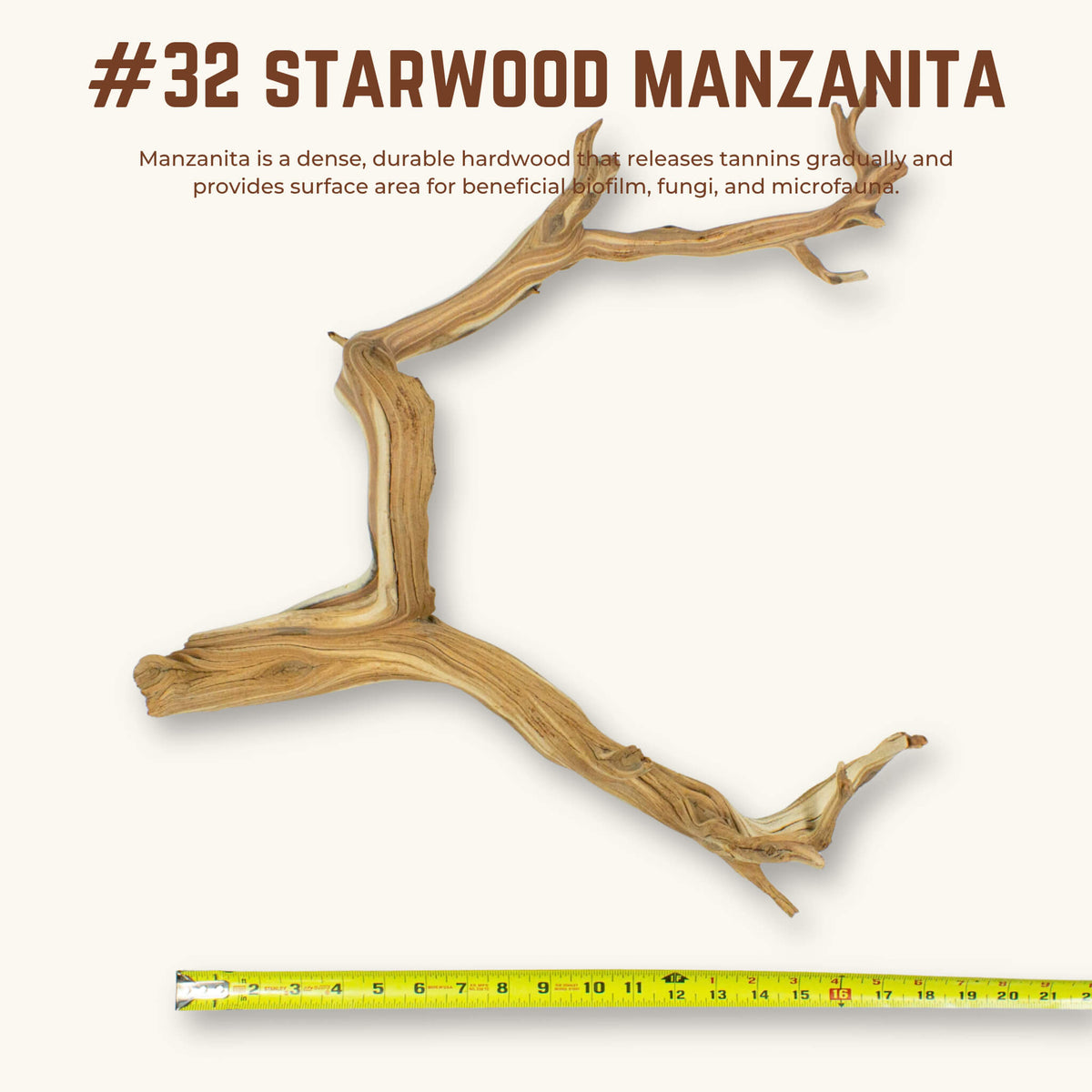 Starwood Manzanita | WYSIWYG Pieces