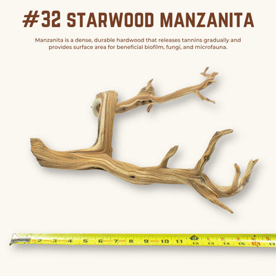 Starwood Manzanita | WYSIWYG Pieces