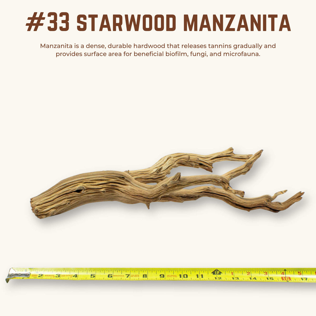 Starwood Manzanita | WYSIWYG Pieces