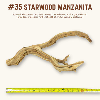 Starwood Manzanita | WYSIWYG Pieces