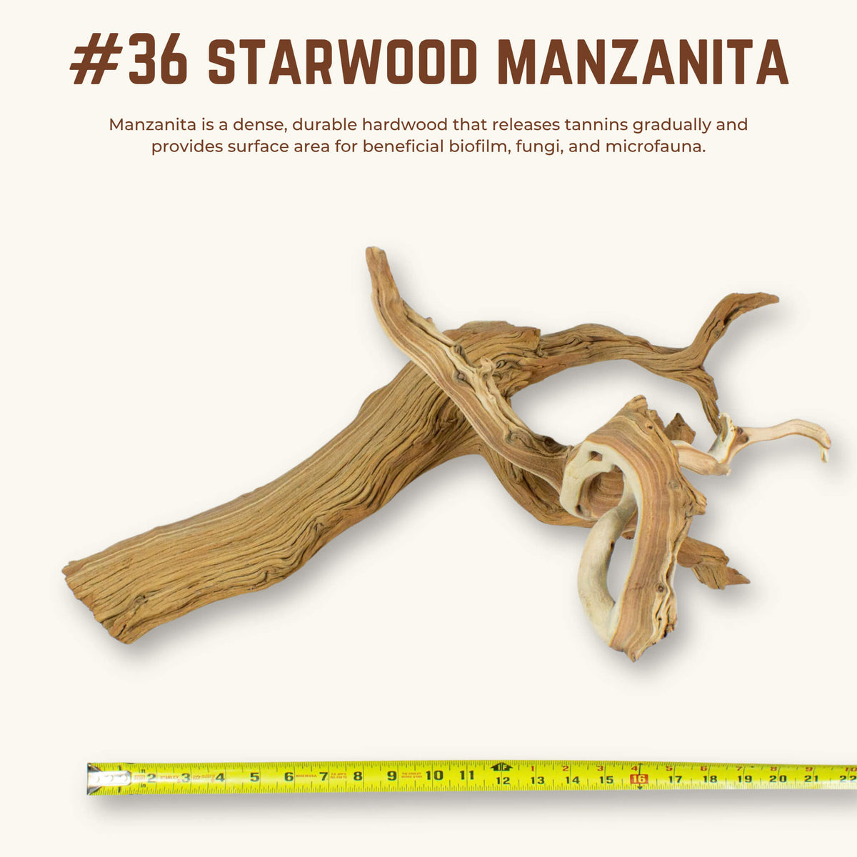 Starwood Manzanita | WYSIWYG Pieces