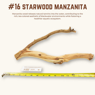 Starwood Manzanita | WYSIWYG Pieces