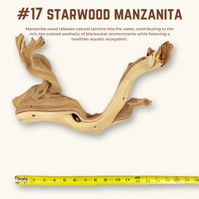 Starwood Manzanita | WYSIWYG Pieces