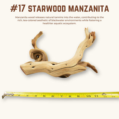 Starwood Manzanita | WYSIWYG Pieces