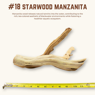 Starwood Manzanita | WYSIWYG Pieces