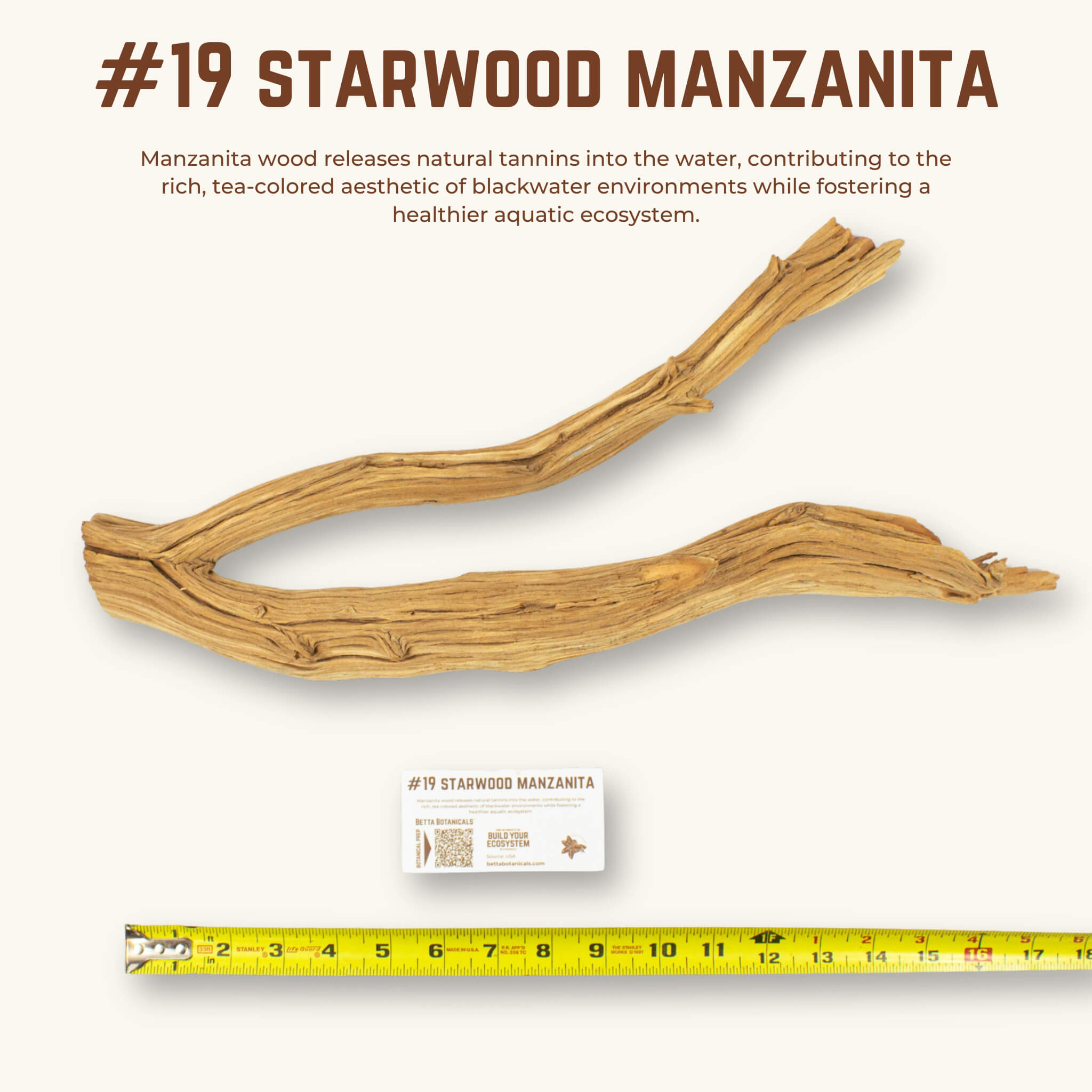 Starwood Manzanita | WYSIWYG Pieces
