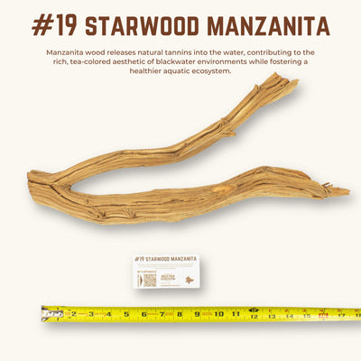 Starwood Manzanita | WYSIWYG Pieces
