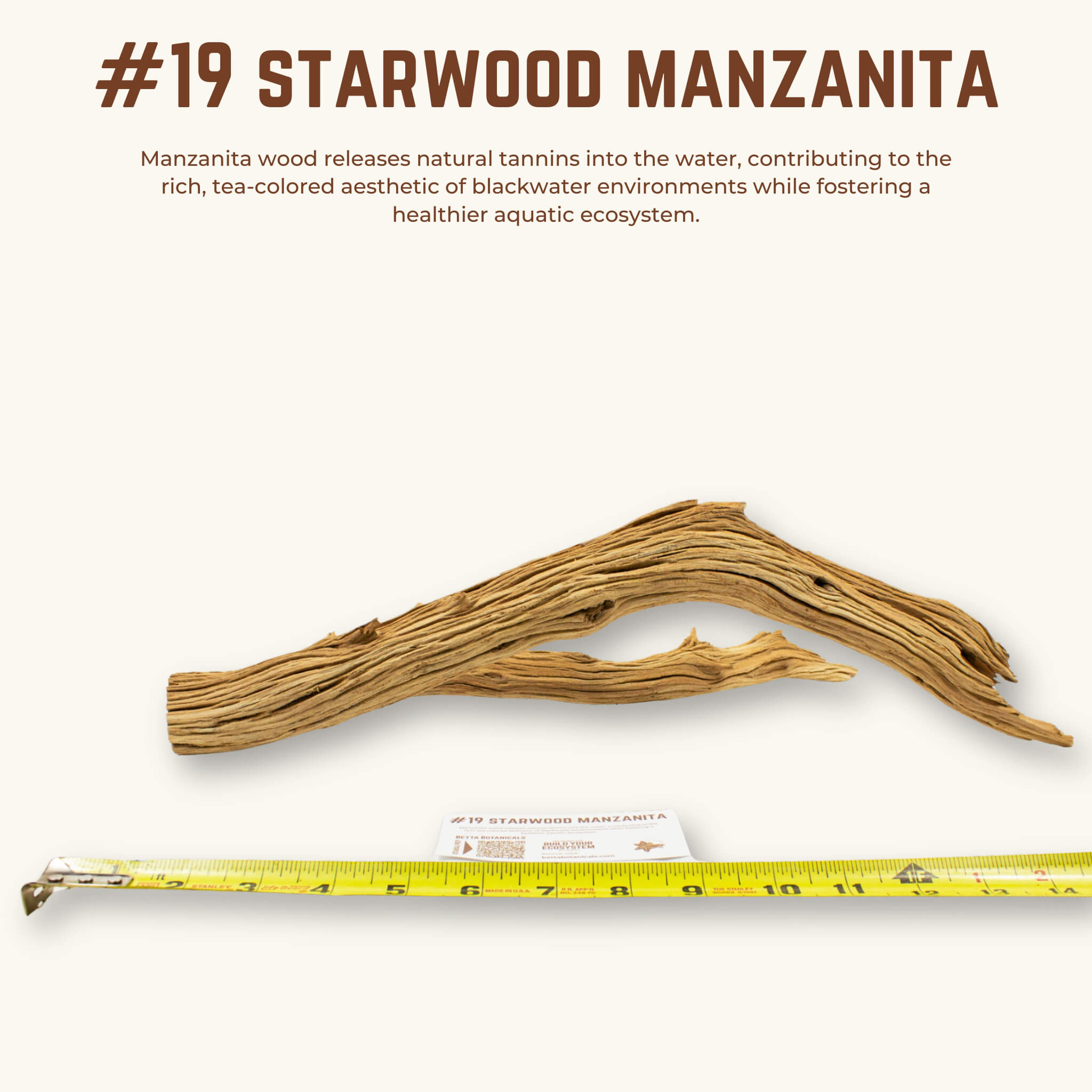 Starwood Manzanita | WYSIWYG Pieces
