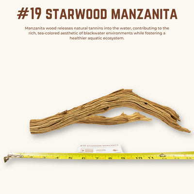Starwood Manzanita | WYSIWYG Pieces