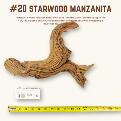 Starwood Manzanita | WYSIWYG Pieces