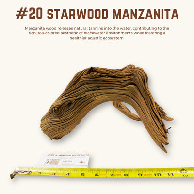 Starwood Manzanita | WYSIWYG Pieces
