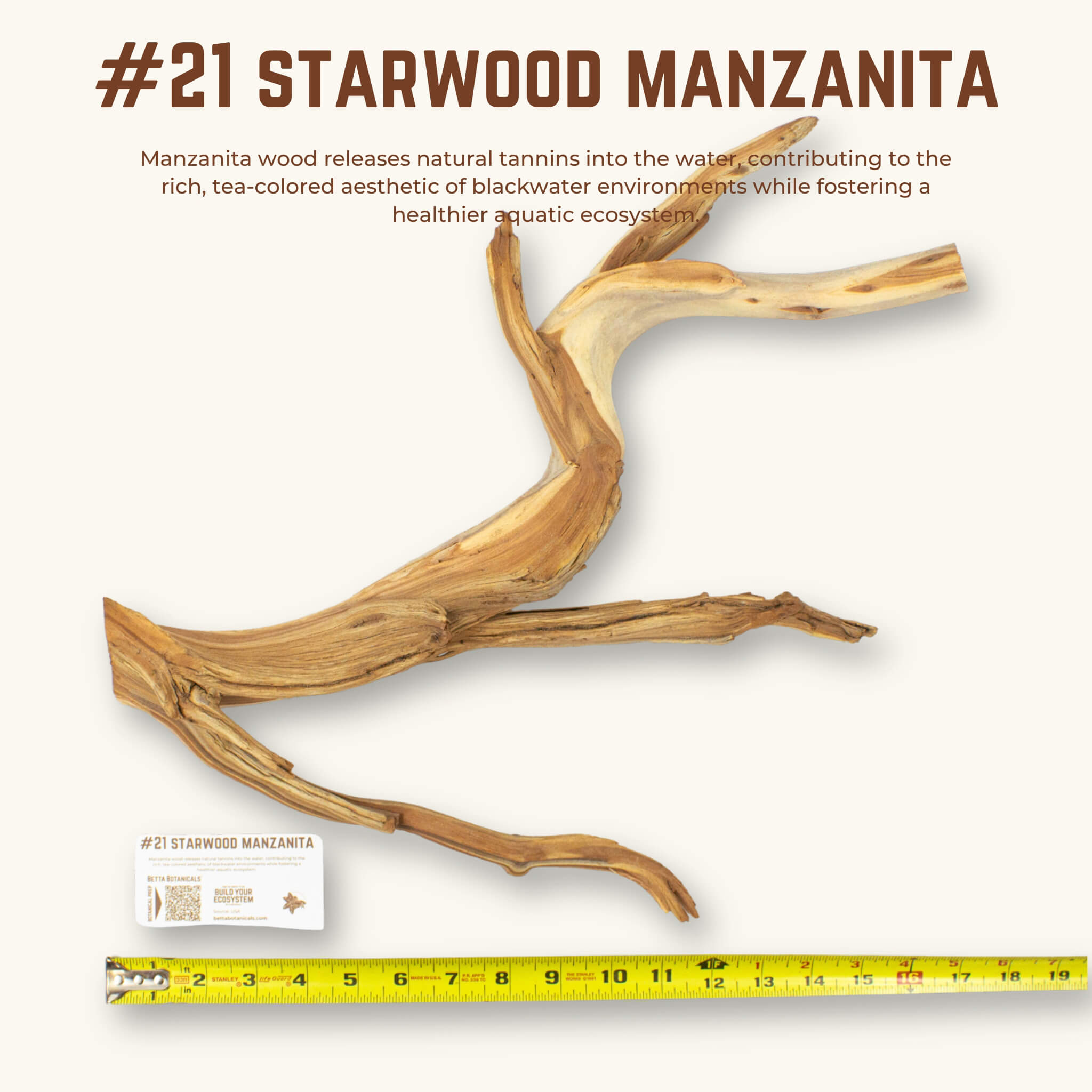 Starwood Manzanita | WYSIWYG Pieces
