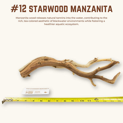 Starwood Manzanita | WYSIWYG Pieces