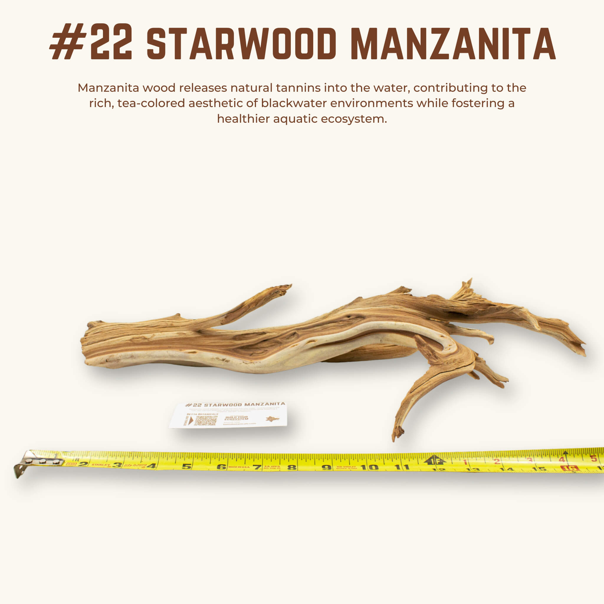 Starwood Manzanita | WYSIWYG Pieces