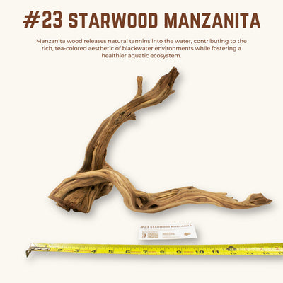 Starwood Manzanita | WYSIWYG Pieces
