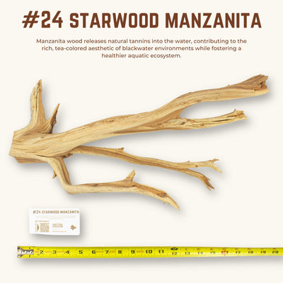 Starwood Manzanita | WYSIWYG Pieces