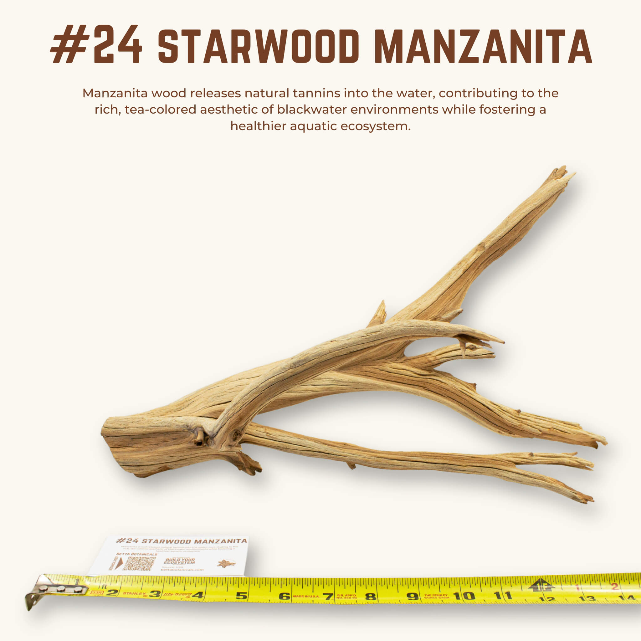 Starwood Manzanita | WYSIWYG Pieces