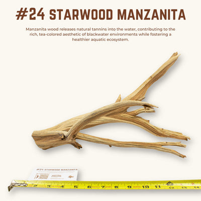 Starwood Manzanita | WYSIWYG Pieces