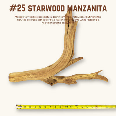 Starwood Manzanita | WYSIWYG Pieces