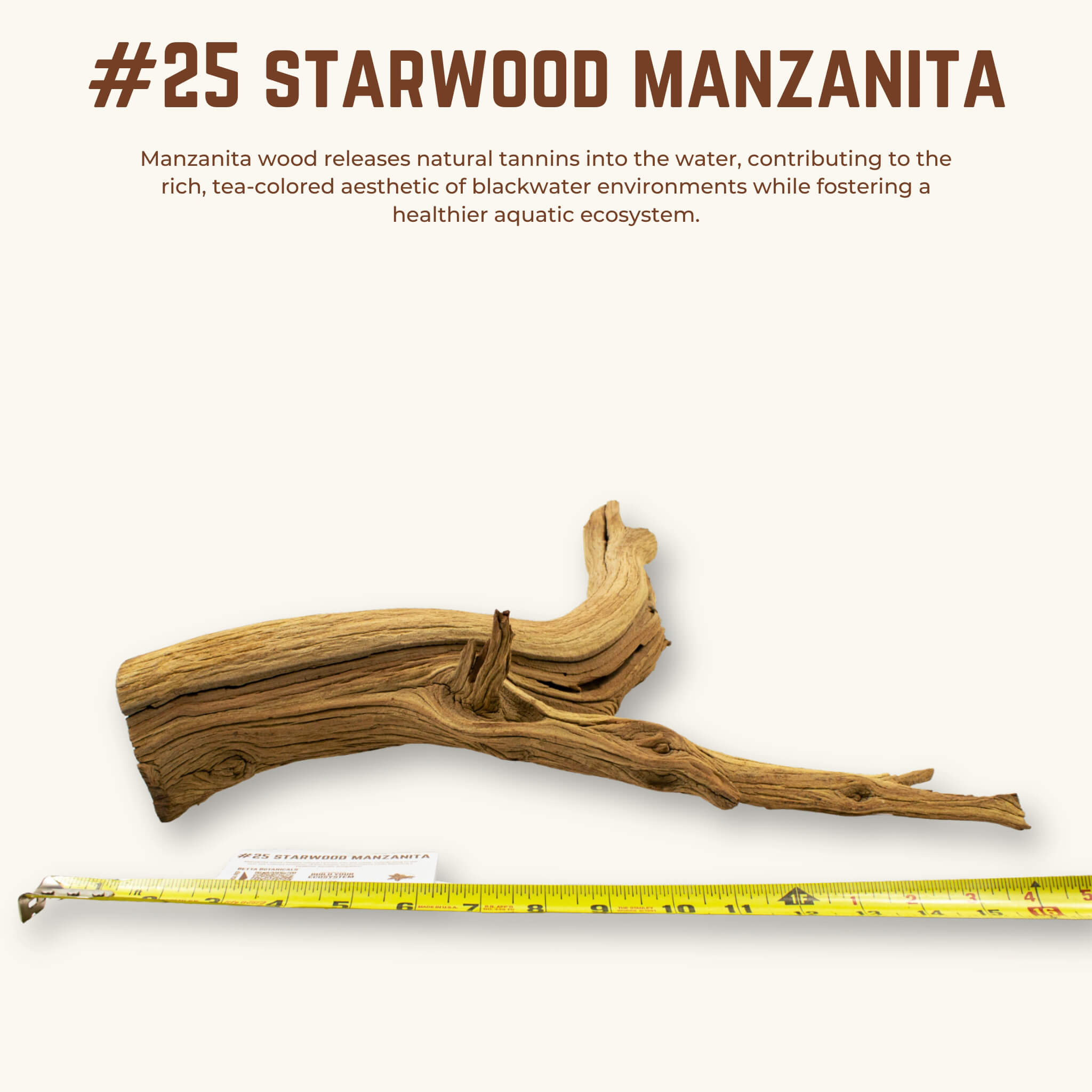 Starwood Manzanita | WYSIWYG Pieces
