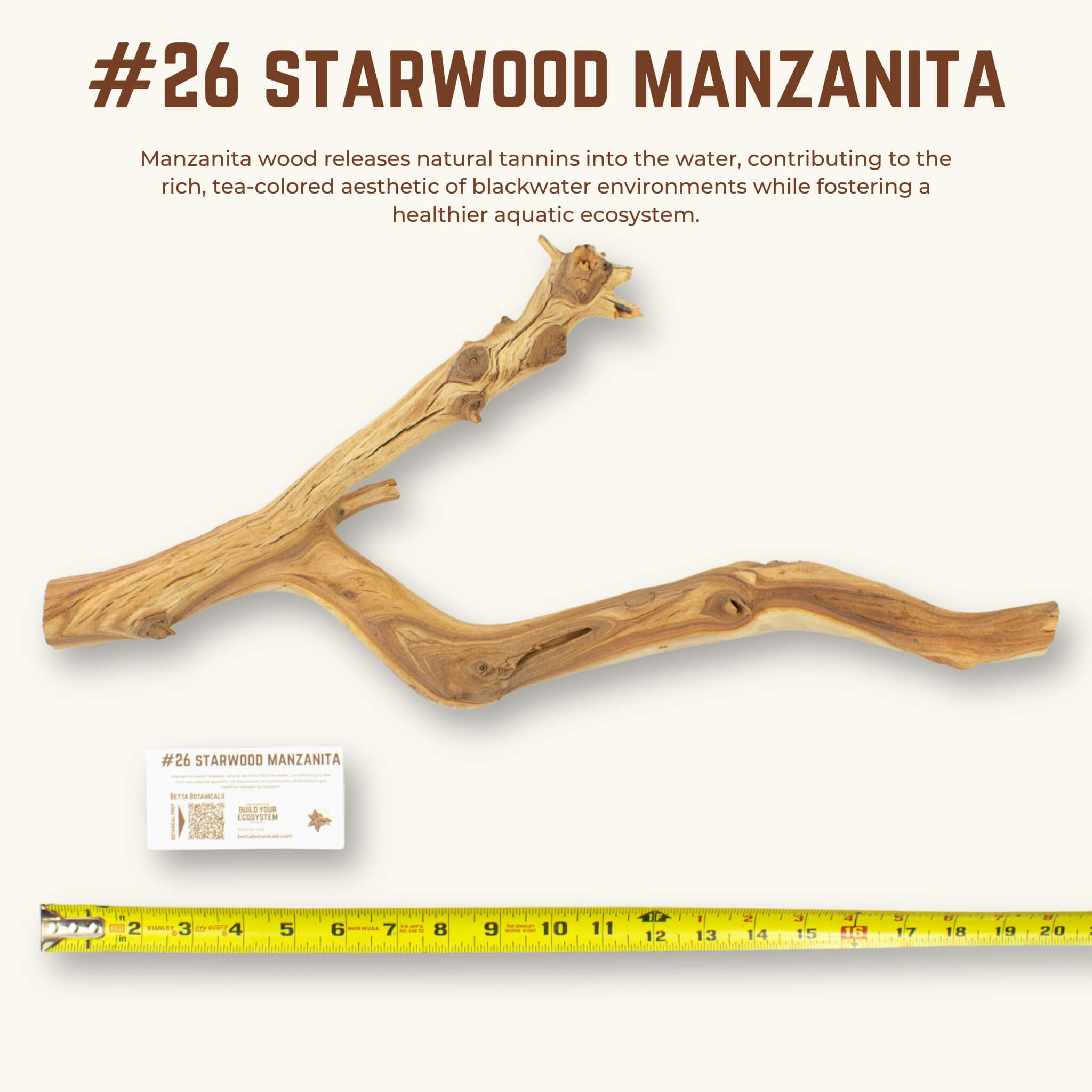 Starwood Manzanita | WYSIWYG Pieces
