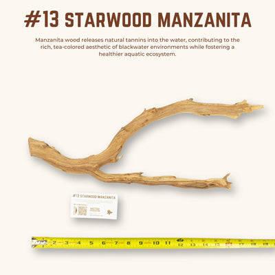 Starwood Manzanita | WYSIWYG Pieces