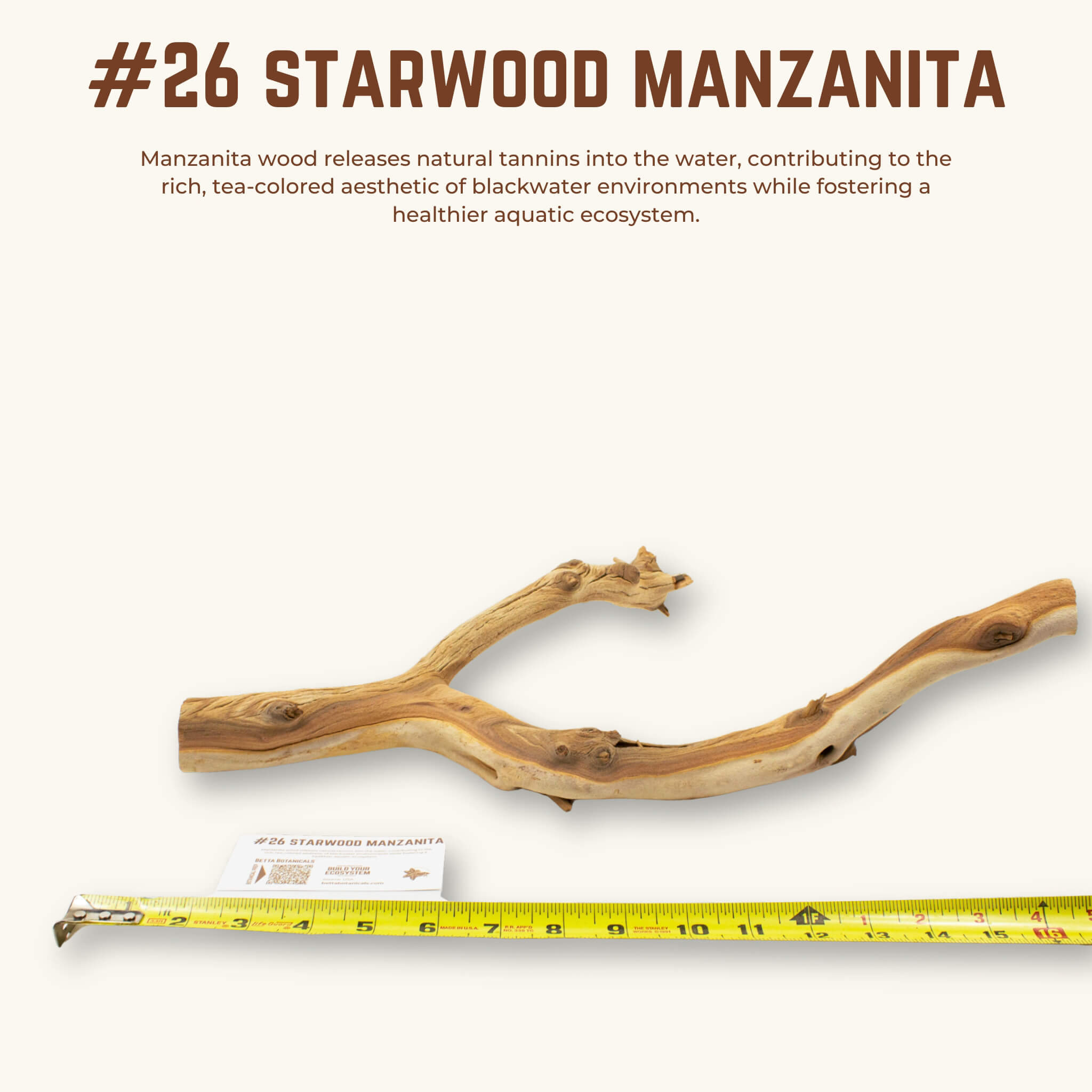Starwood Manzanita | WYSIWYG Pieces