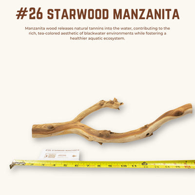 Starwood Manzanita | WYSIWYG Pieces