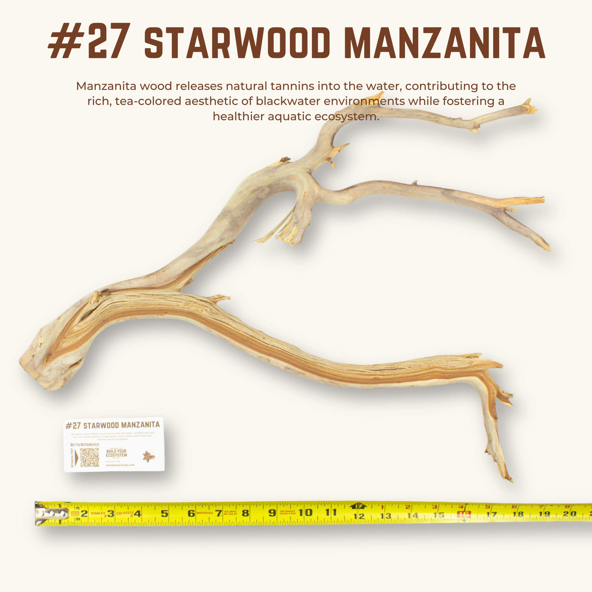 Starwood Manzanita | WYSIWYG Pieces