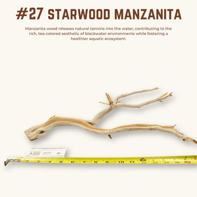 Starwood Manzanita | WYSIWYG Pieces